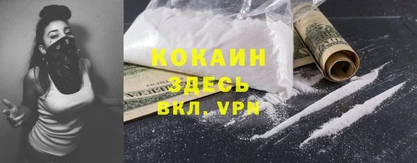 стаф Абинск